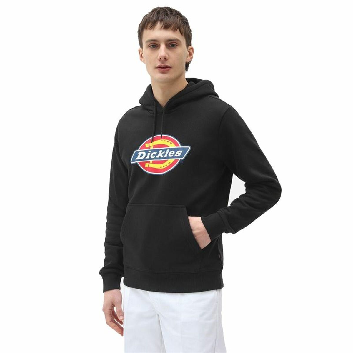 Tröja med huva Herr Dickies