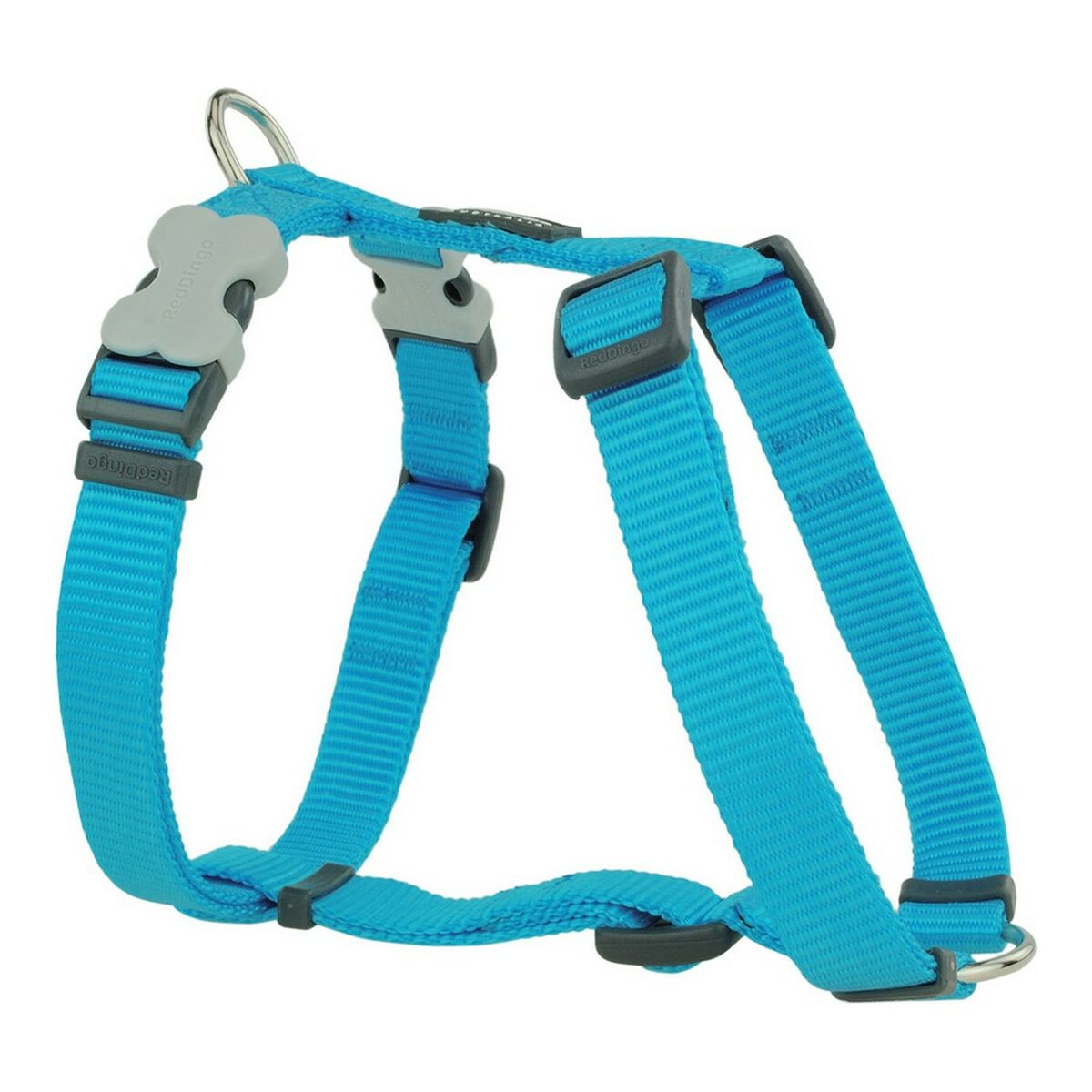 Hundsele Red Dingo Slät 30-48 cm Turkos - 3
