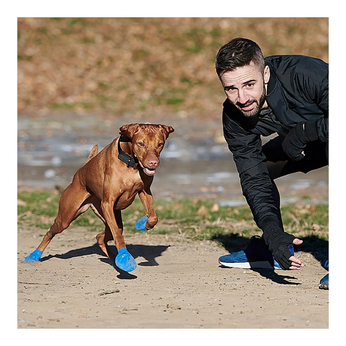 Skor Pawz Hund 12 antal Storlek XL Grön - 5