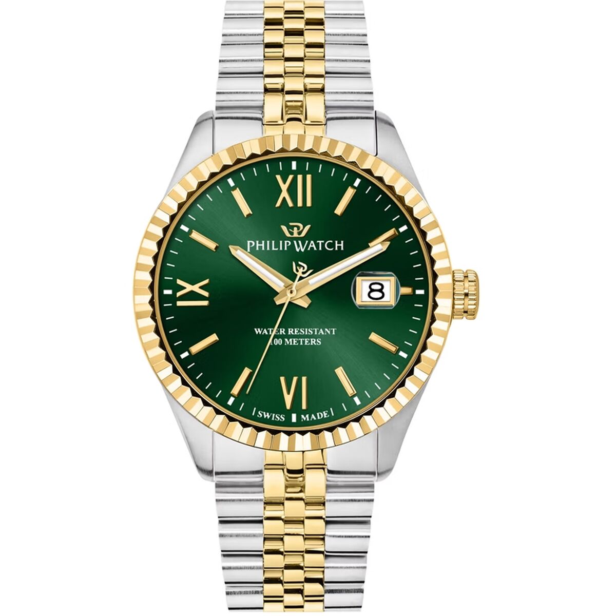 Herrklocka Philip Watch R8253597111