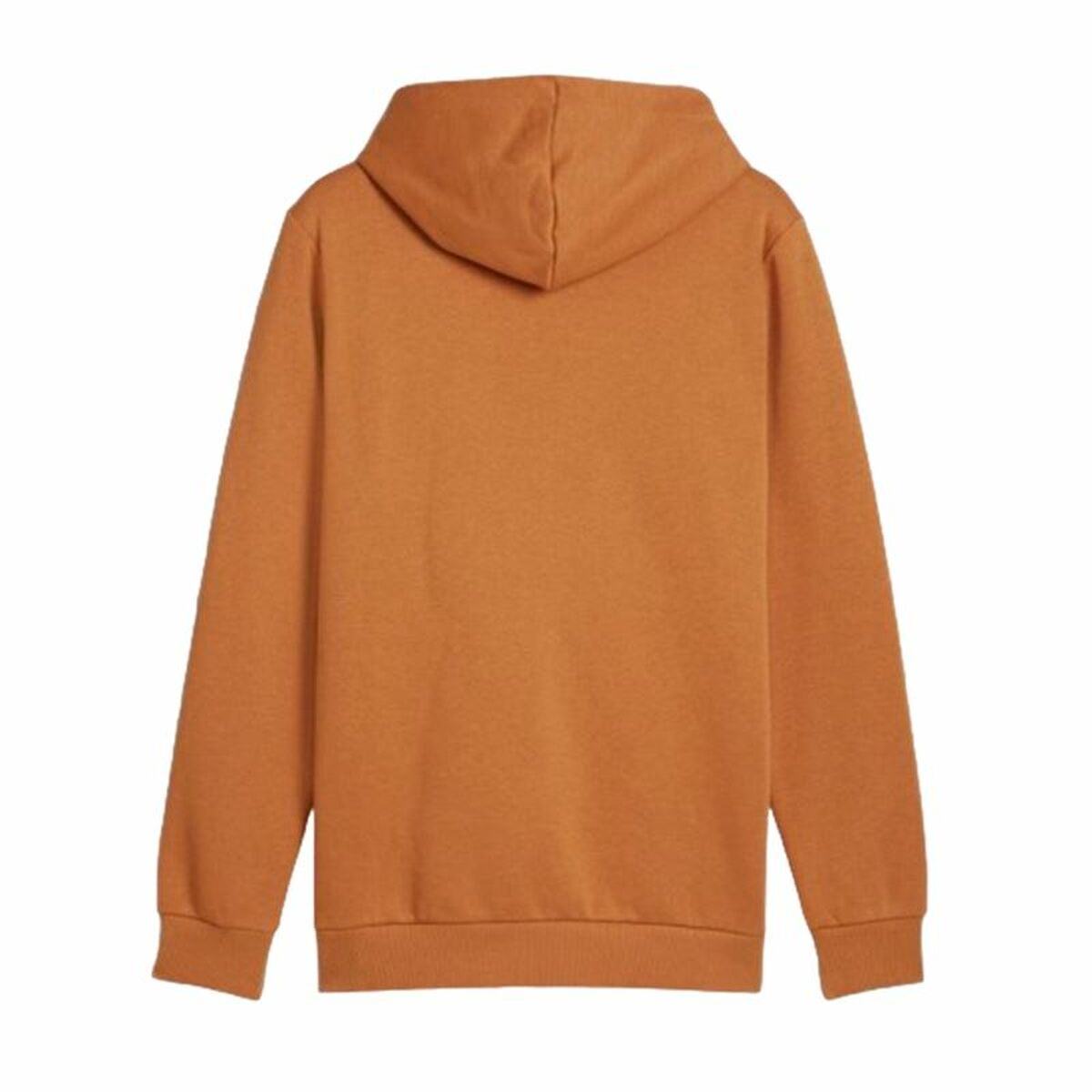 Tröja med huva Herr Puma Essentials Big Logo Hoodie Fl - 2