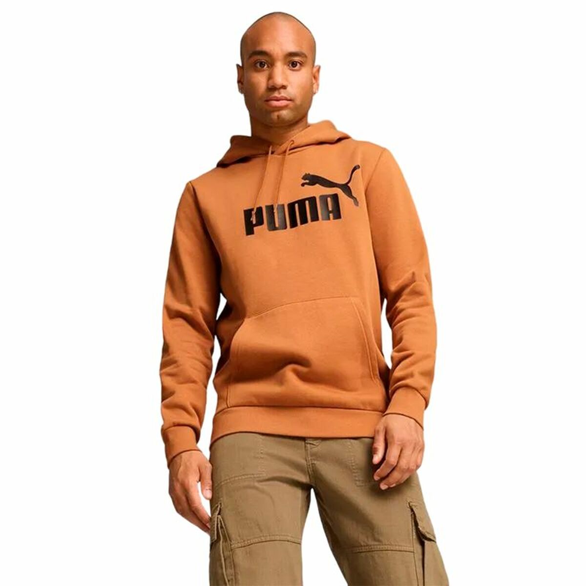 Tröja med huva Herr Puma Essentials Big Logo Hoodie Fl - 3