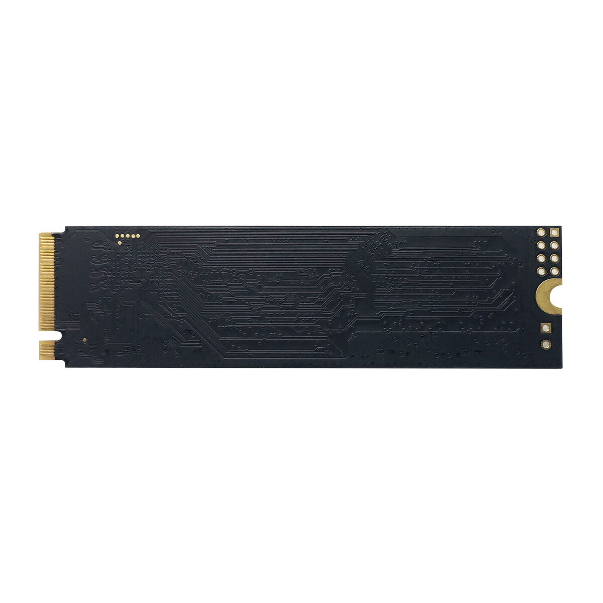 Hårddisk Patriot Memory P310 240 GB SSD - 6