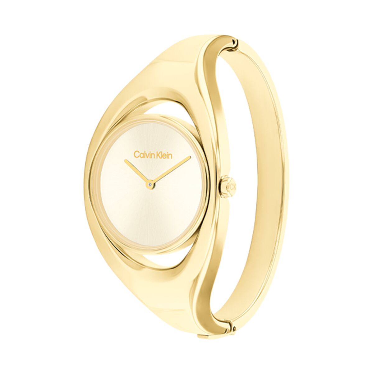 Damklocka Calvin Klein 25200422 - 5