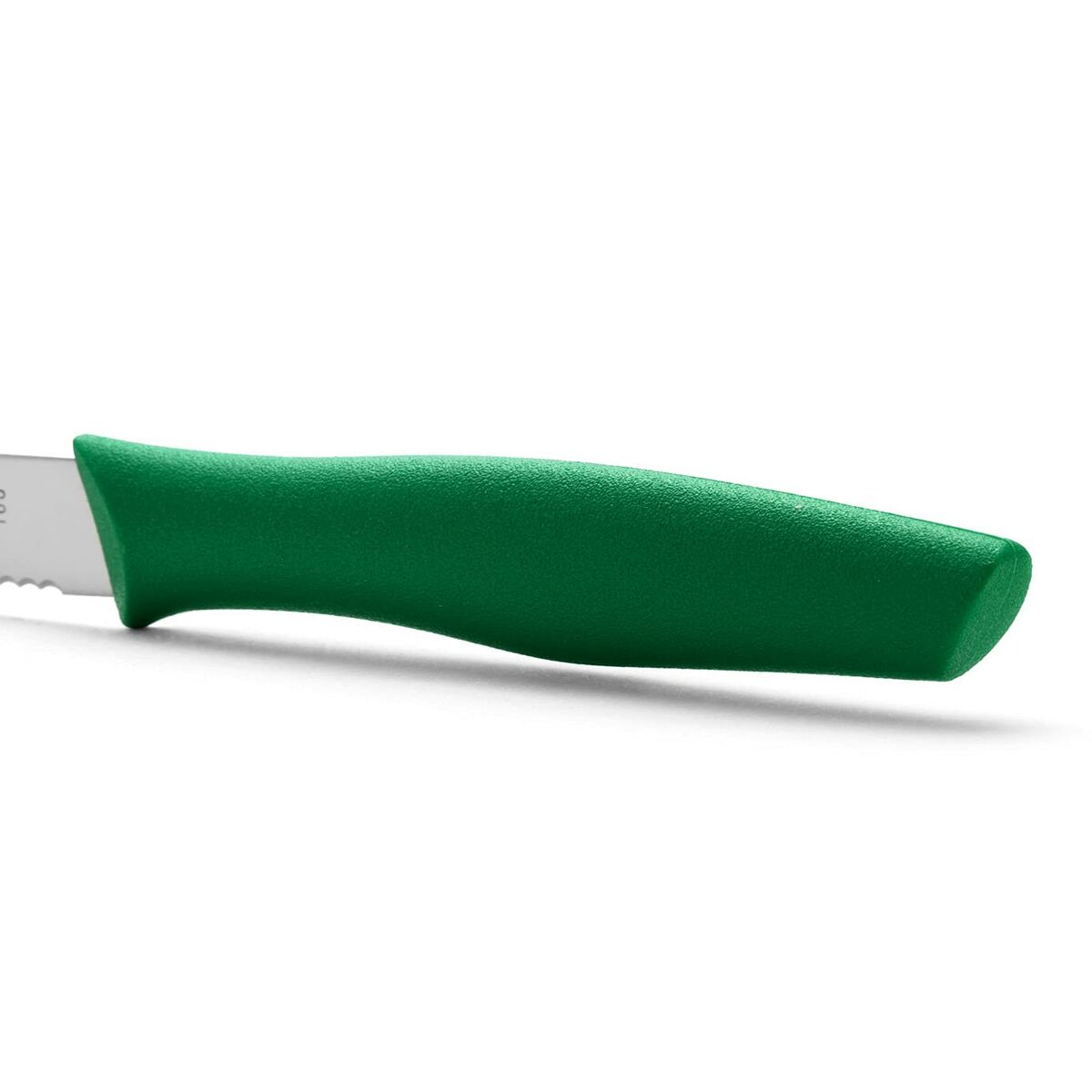 Skalkniv Arcos Nova Grön Rostfritt stål polypropen 10 cm - 4