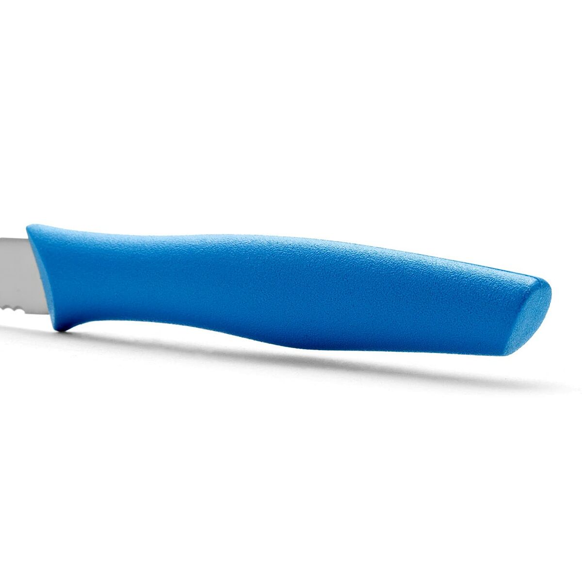 Skalkniv Arcos Nova Blå Rostfritt stål polypropen 10 cm - 5