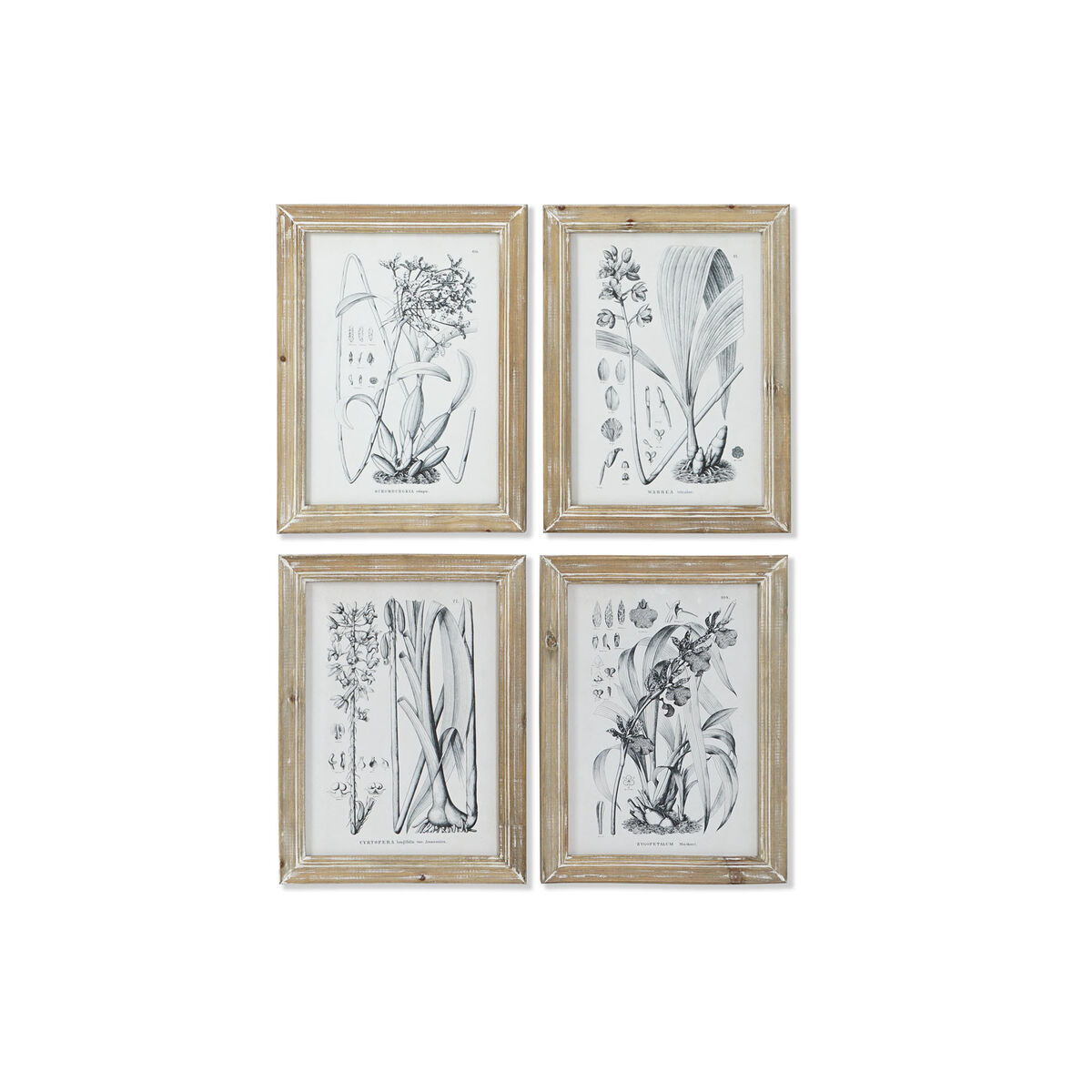 Tavla DKD Home Decor Modern Botaniska växter 30 x 2 x 40 cm (4 antal)