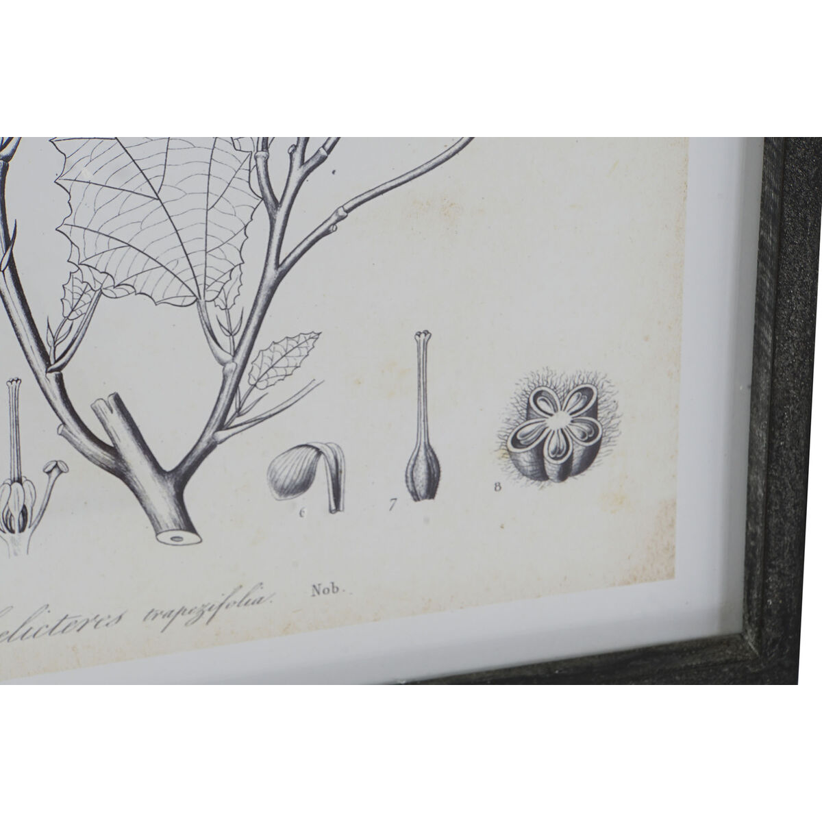 Tavla DKD Home Decor Modern Botaniska växter 45 x 2,5 x 60 cm (4 antal) - 3