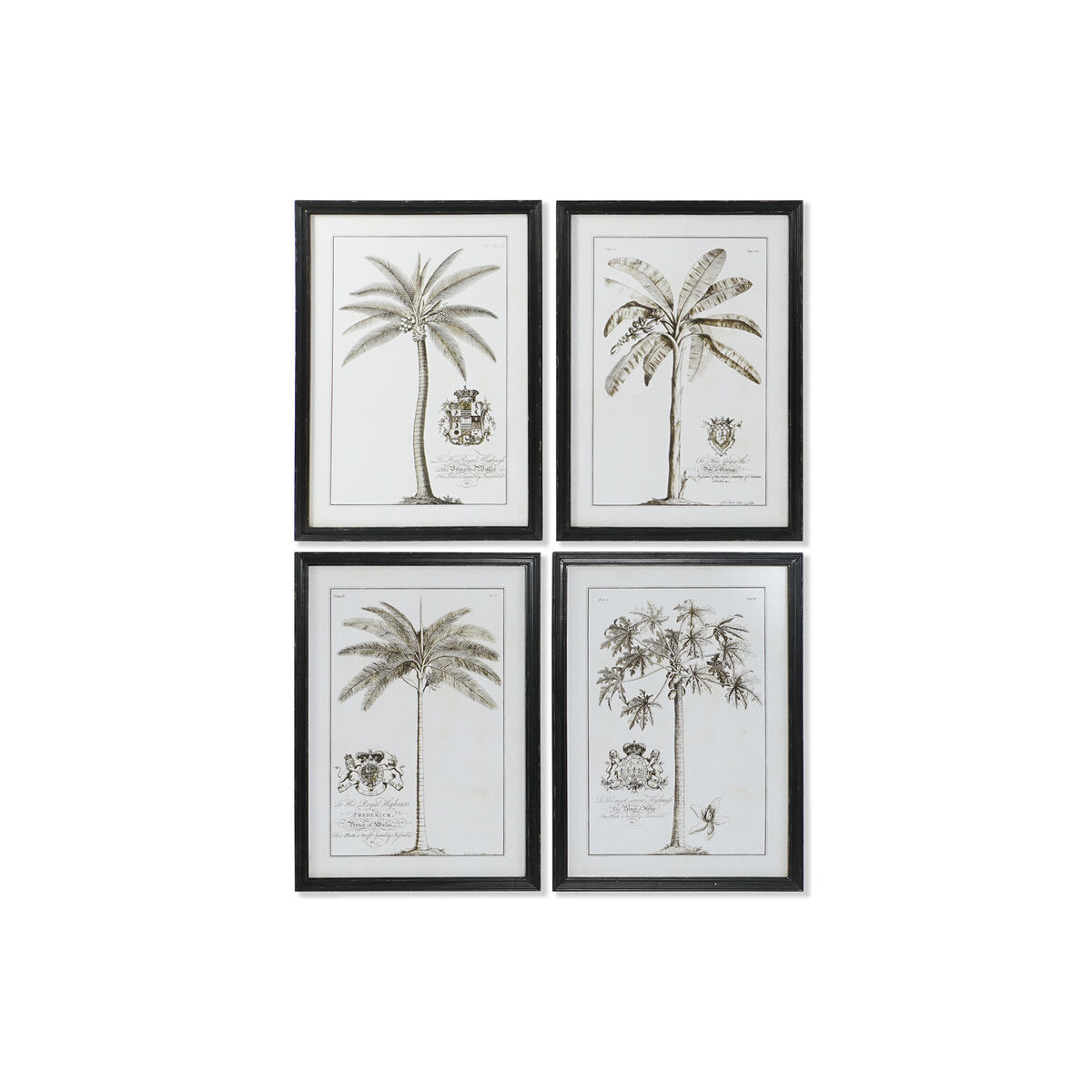Tavla DKD Home Decor Palmer Kolonial 50 x 2,5 x 70 cm (4 antal)