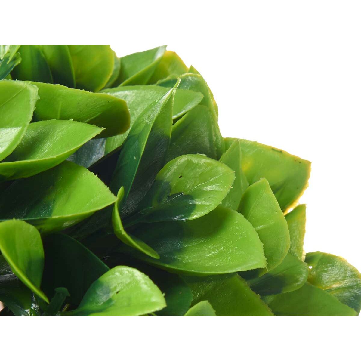 Dekorativ växt Plast (6 antal) - 2