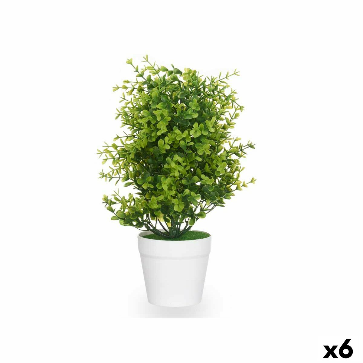 Dekorativ växt Ibergarden 548 Plast Stor (6 antal)