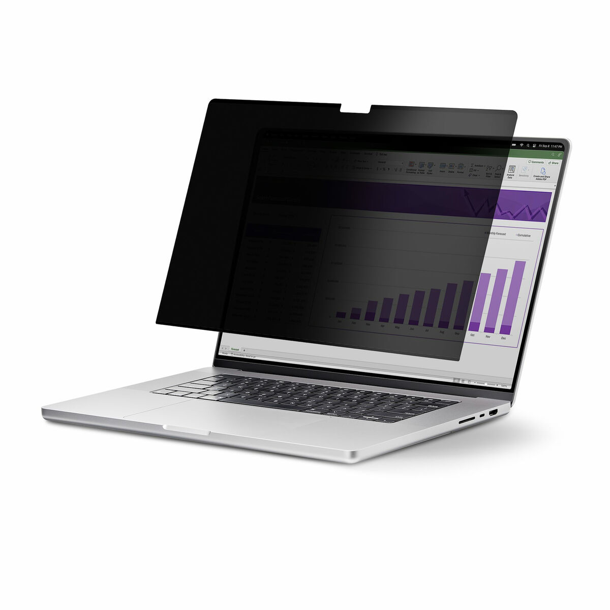 Laptopstöd Startech 133T6-PRIVACY-SCREEN Plast