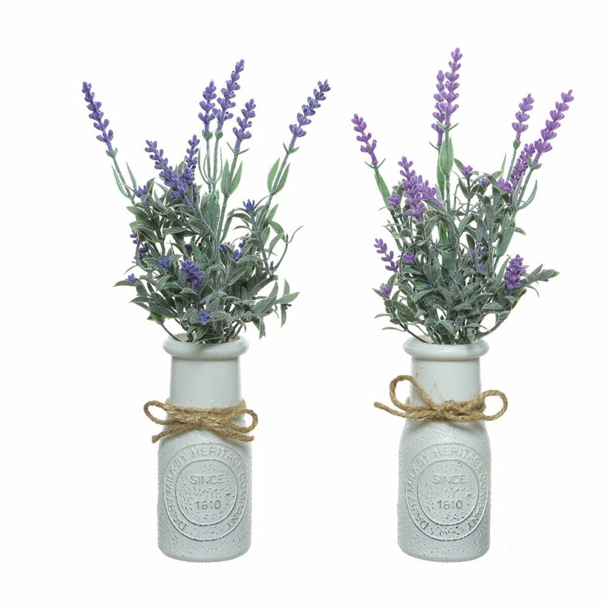 Dekorativ växt Everlands Kruka Lavendel (Ø 13 x 32 cm)