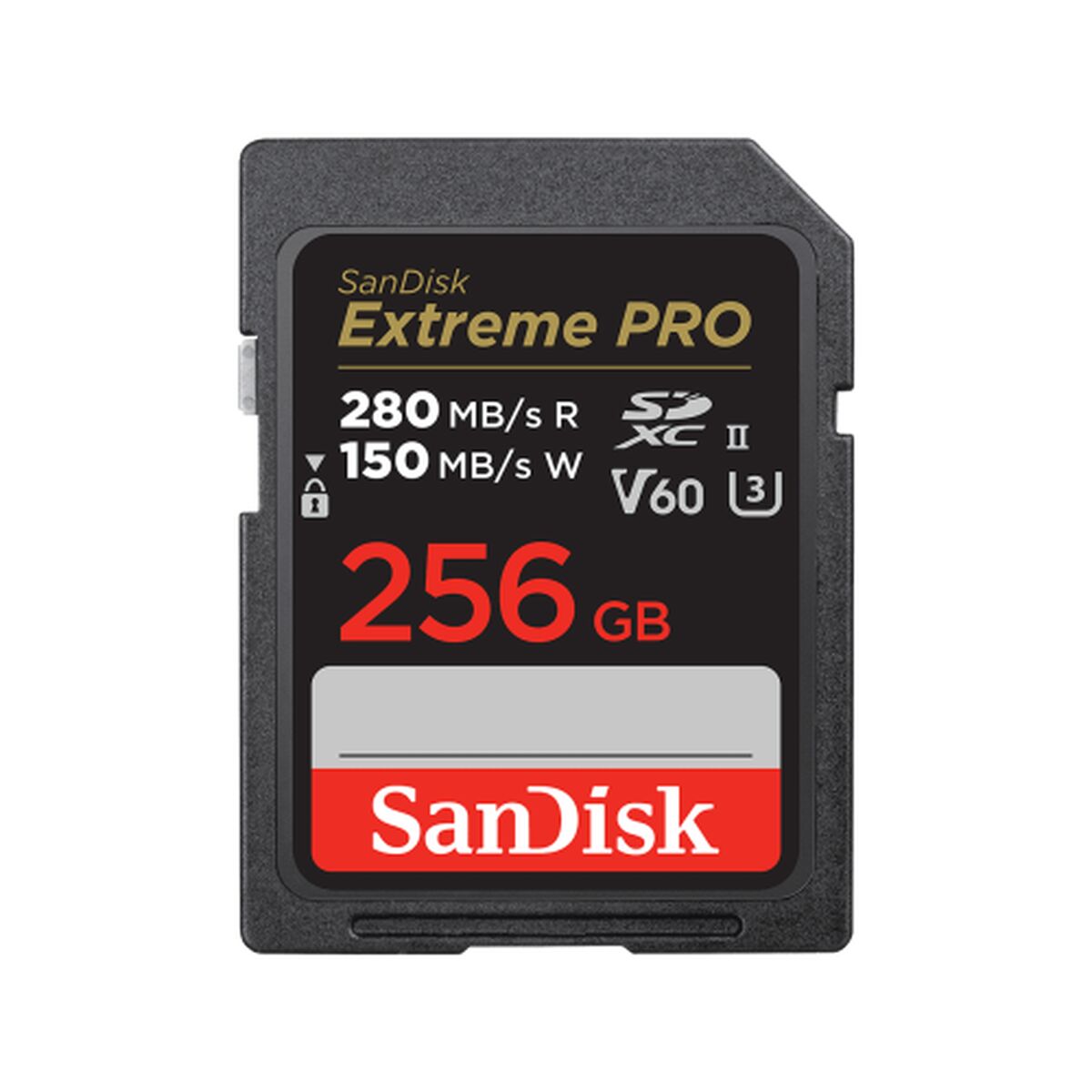 Micro-SD kort SanDisk SDSDXEP-256G-GN4IN 256 GB