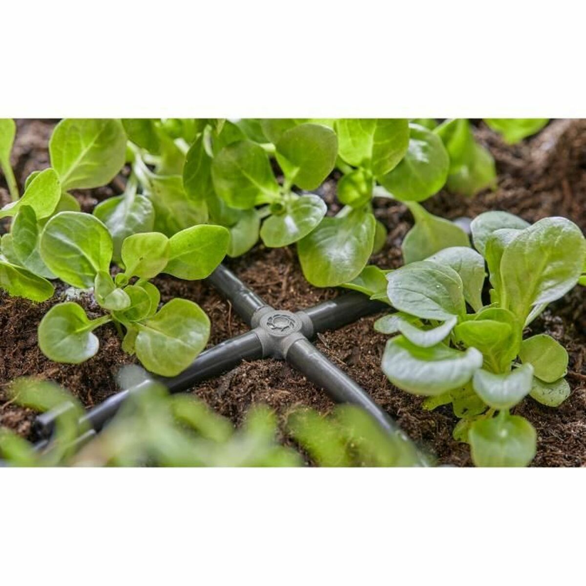 Slanganslutning Gardena "Easy & Flexible"13214-26 Kors 3/16" 4,6 mm 20 antal - 2