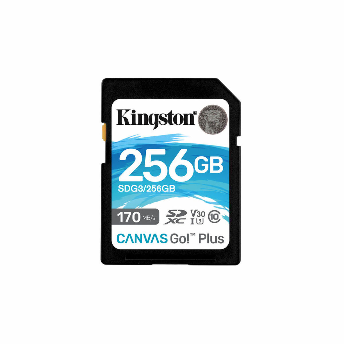 SD Minneskort Kingston SDG3/256GB 256GB 256 GB - 2