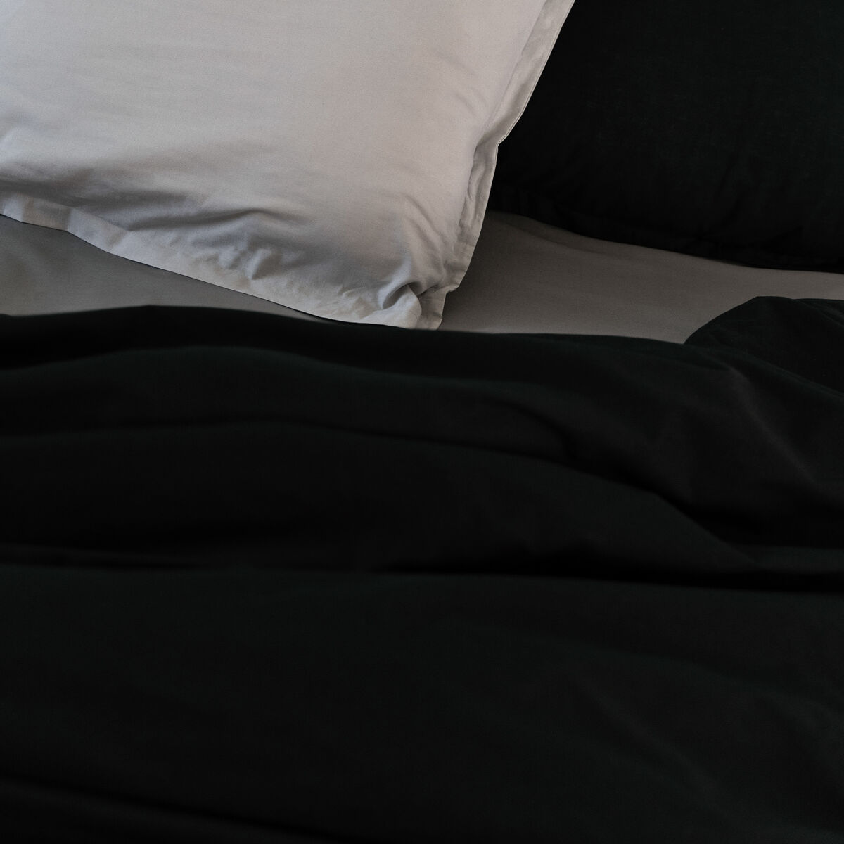 Påslakan HappyFriday BASIC Svart 260 x 240 cm - 10