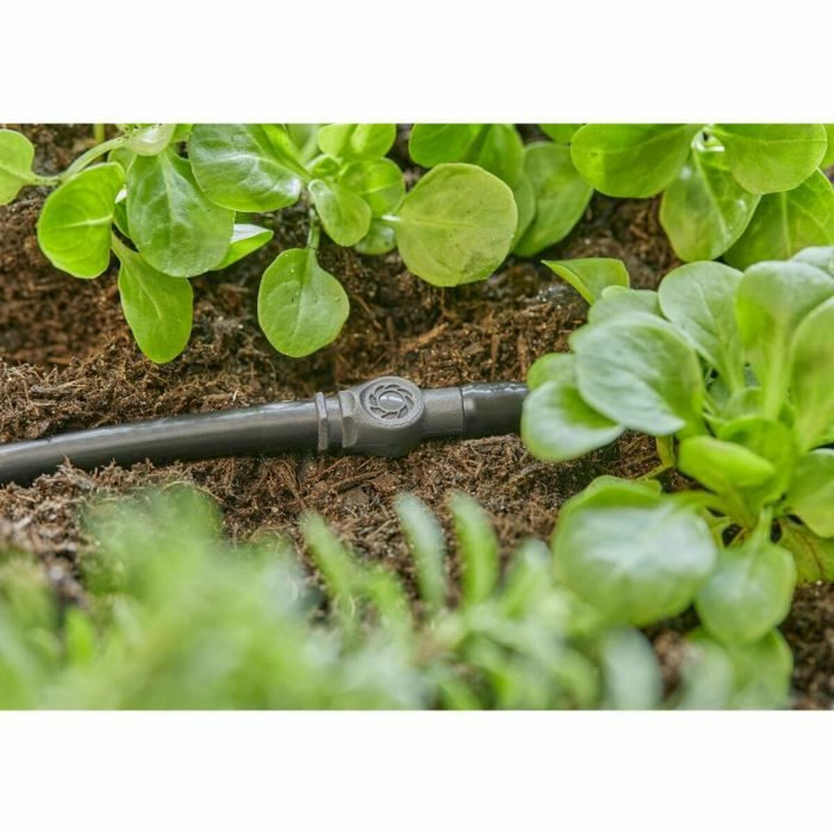 Slanganslutning Gardena "Easy & Flexible" 13213-20 10 antal 3/16" - 2
