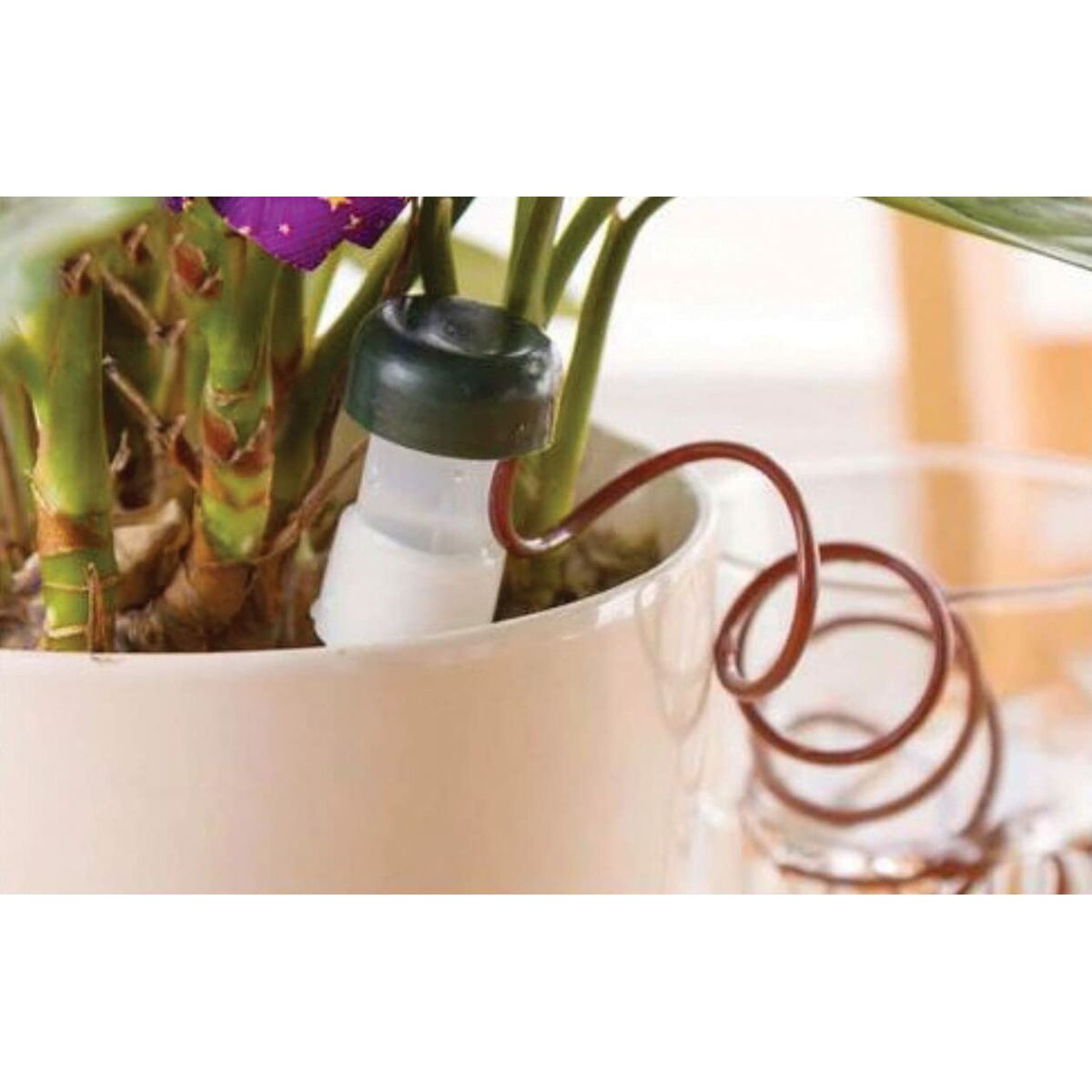 Automatiskt droppvattningssystem för krukor Aqua Control - 3