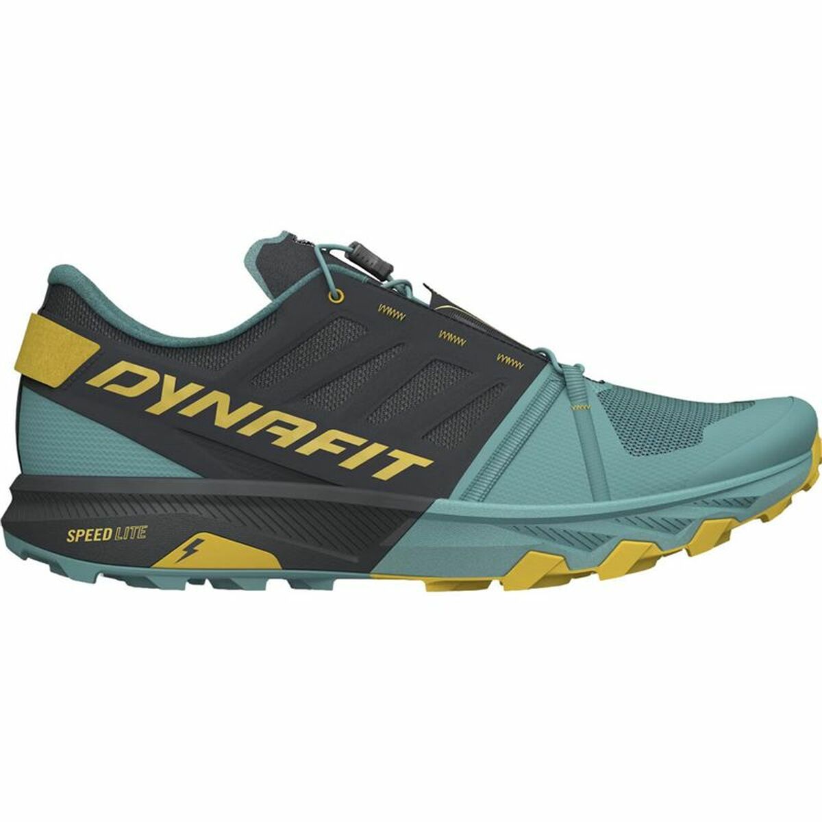 Löparskor, Vuxna Salewa Alpine Pro 2