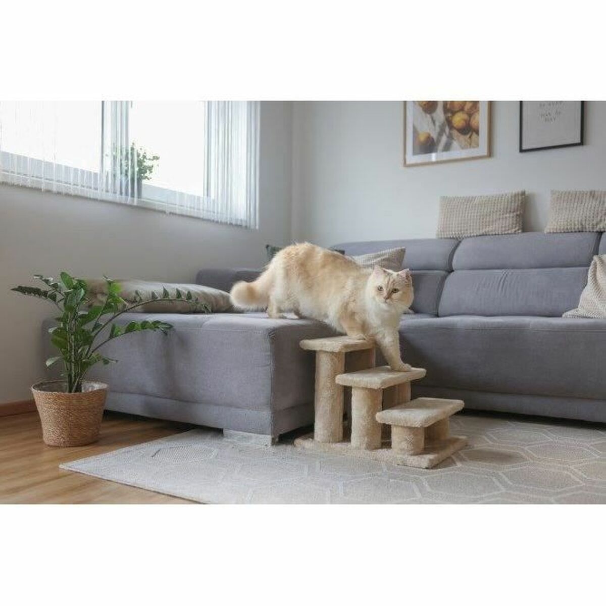 Trappa Kerbl Beige - 2
