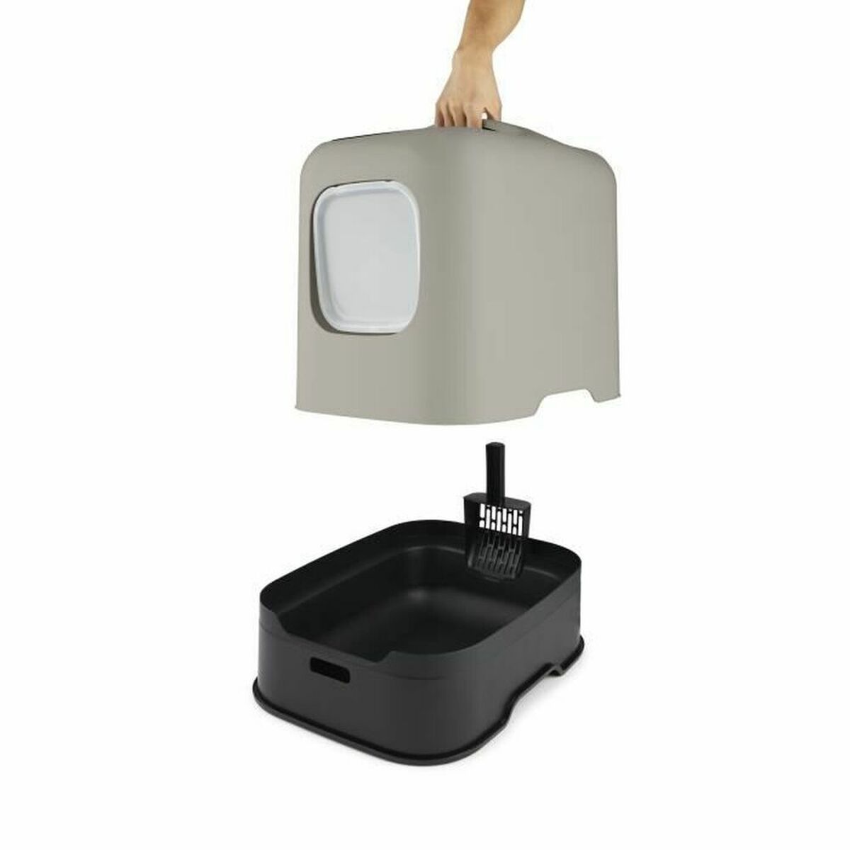 Kattlåda Rotho My Pet CAPUCCINO Plast