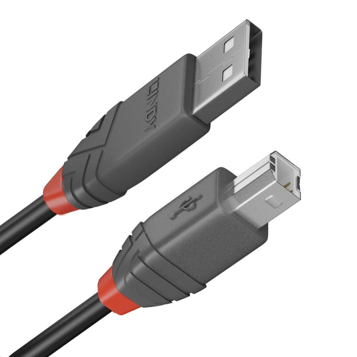 USB A till USB B Kabel LINDY 36675 Svart 5 m - 2