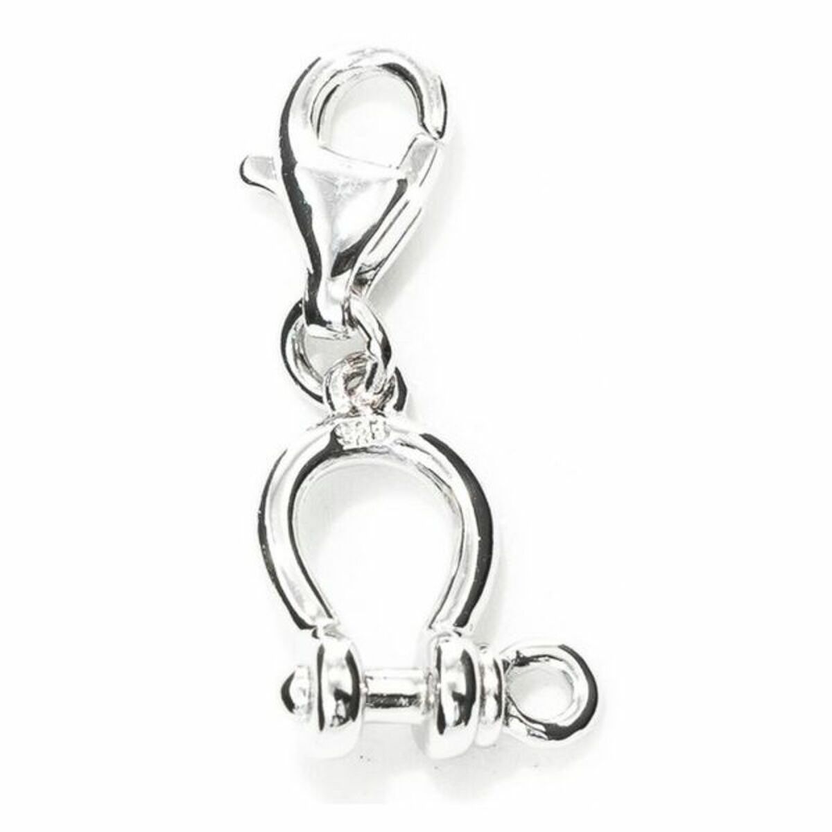 Dampärlor Xenox CHARM_MOSQUET Silvrig 1 cm - 5