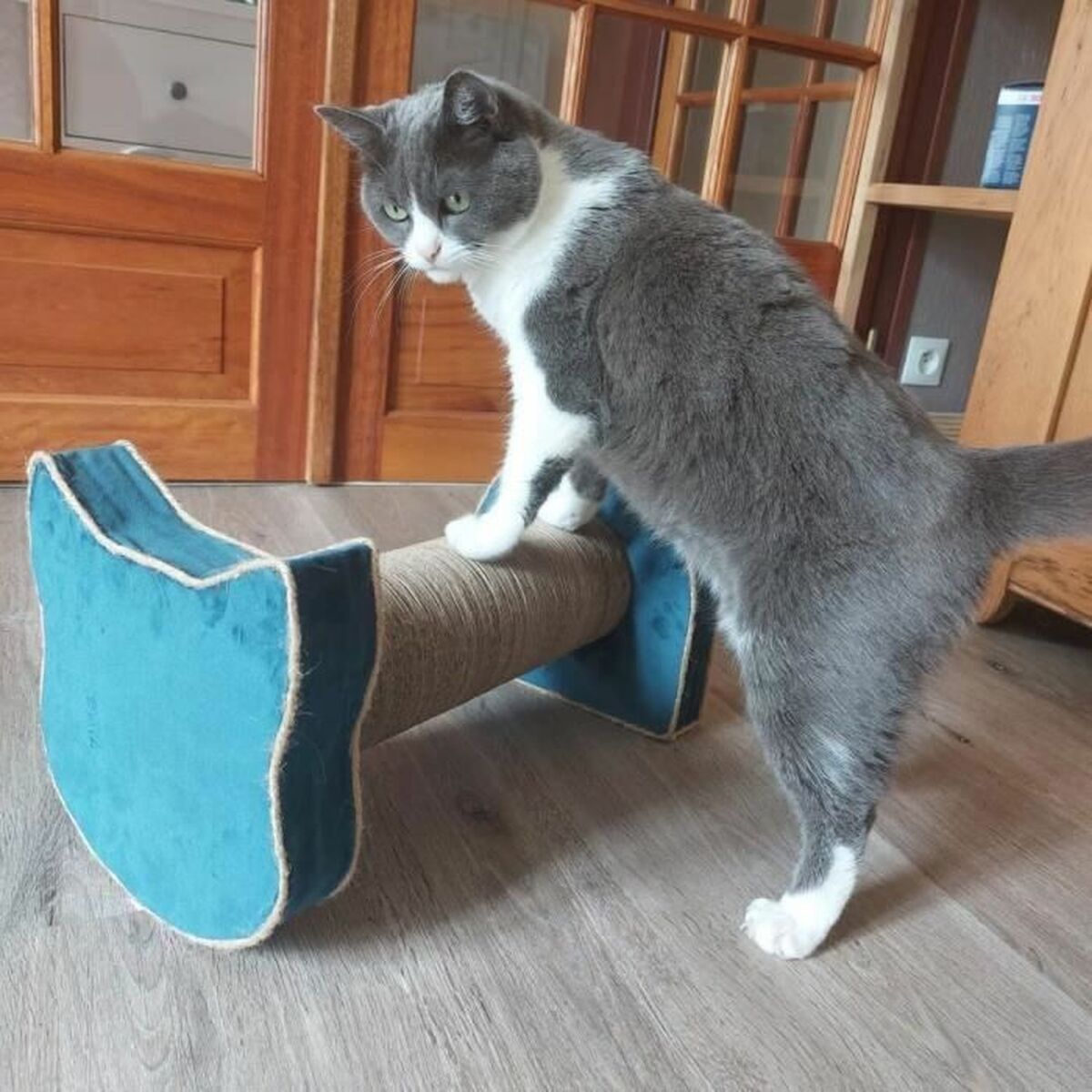 Klösbräda för katter Tyrol Blå Papp 44 x 22 x 21 cm - 3