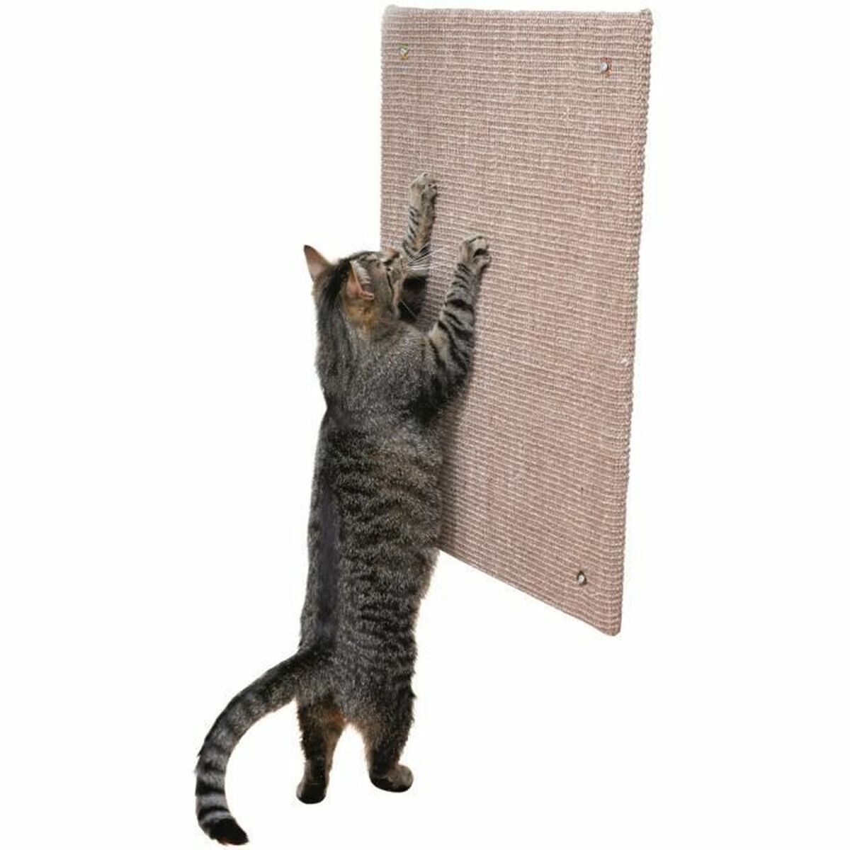 Klösbräda för katter XXL Trixie Brun Beige-brun (taupe) 50 x 70 cm - 4
