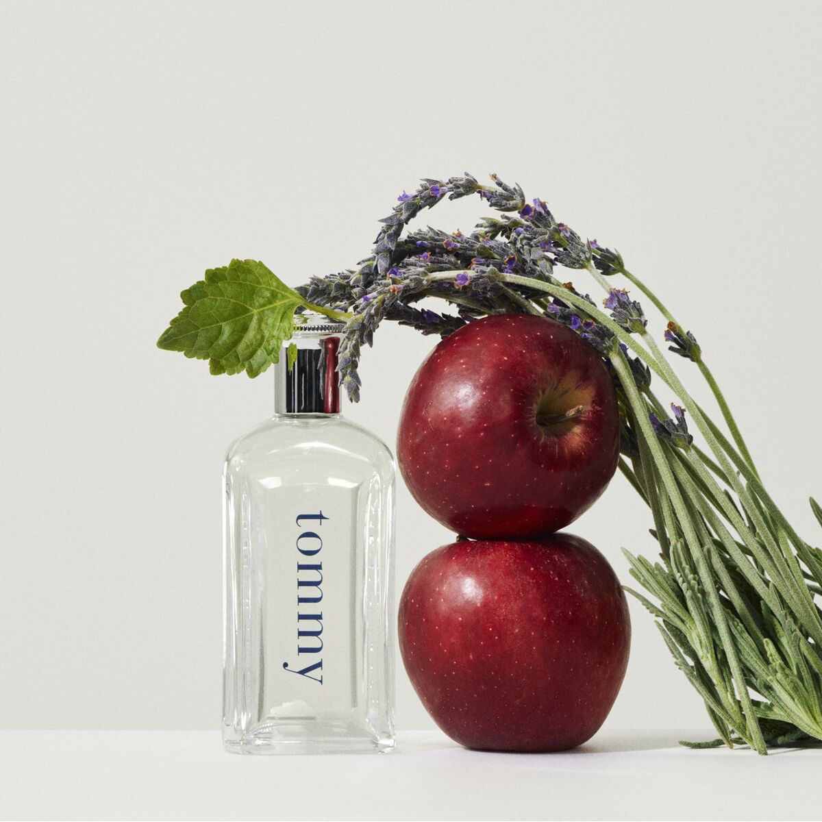 Parfym Herrar Tommy Hilfiger Tommy EDT 30 ml - 2