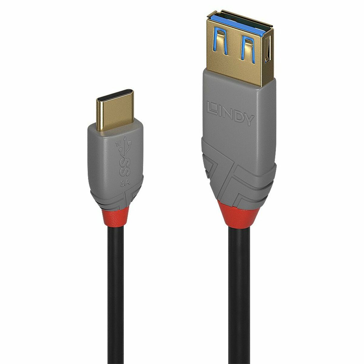 USB C till DisplayPort Adapter LINDY 36895 150 cm Svart - 2