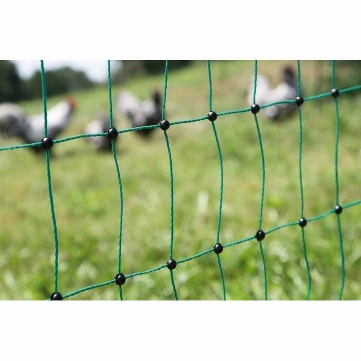 Säkerhetsnät Kerbl Nylon - 3