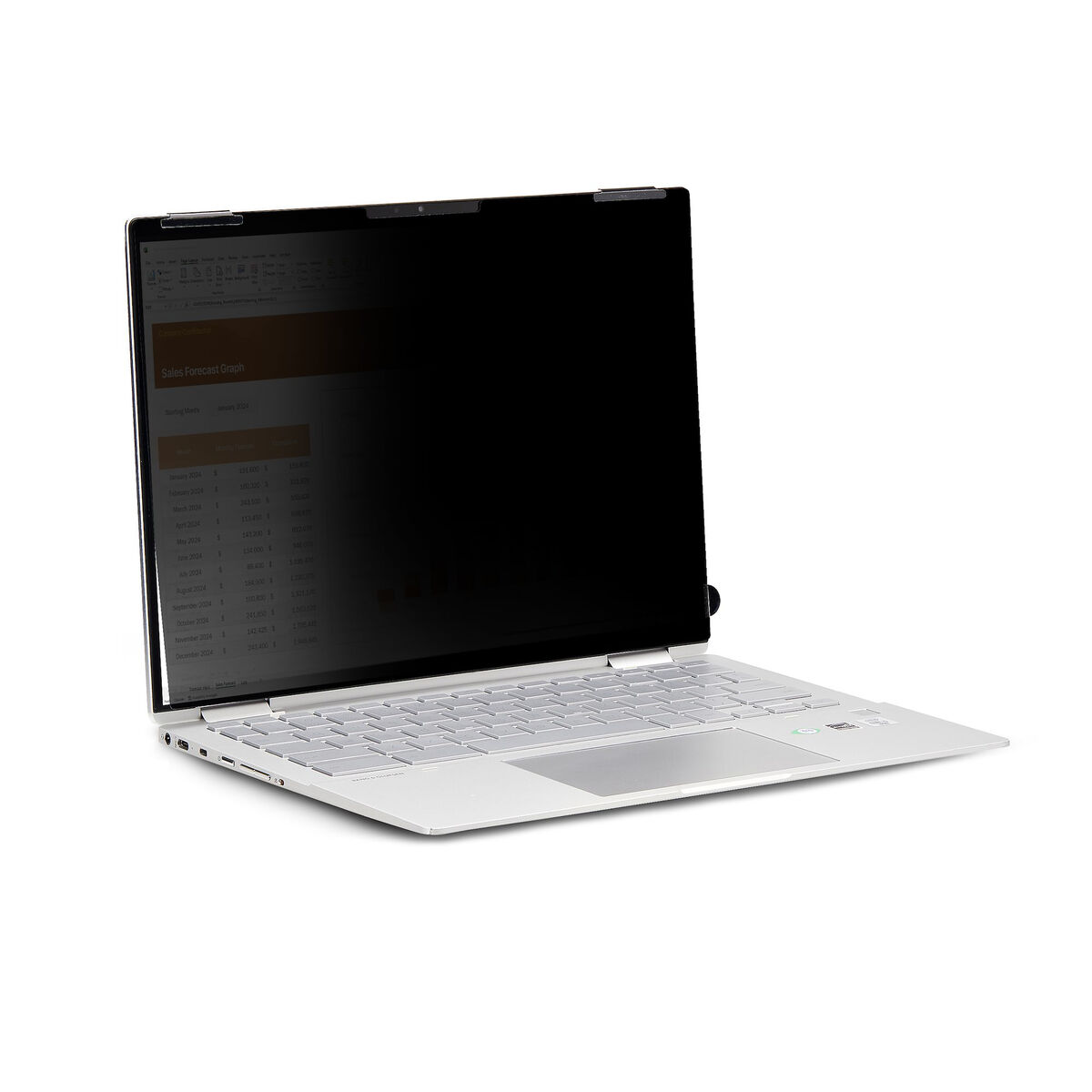 Sekretessfilter för datorskärm Startech 14LT-PRIVACY-SCREEN 14" - 7