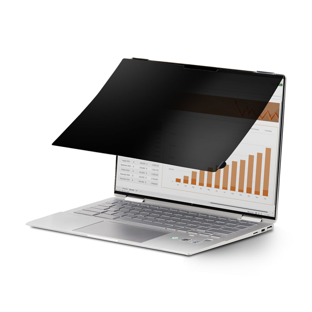 Sekretessfilter för datorskärm Startech 14LT-PRIVACY-SCREEN 14" - 8