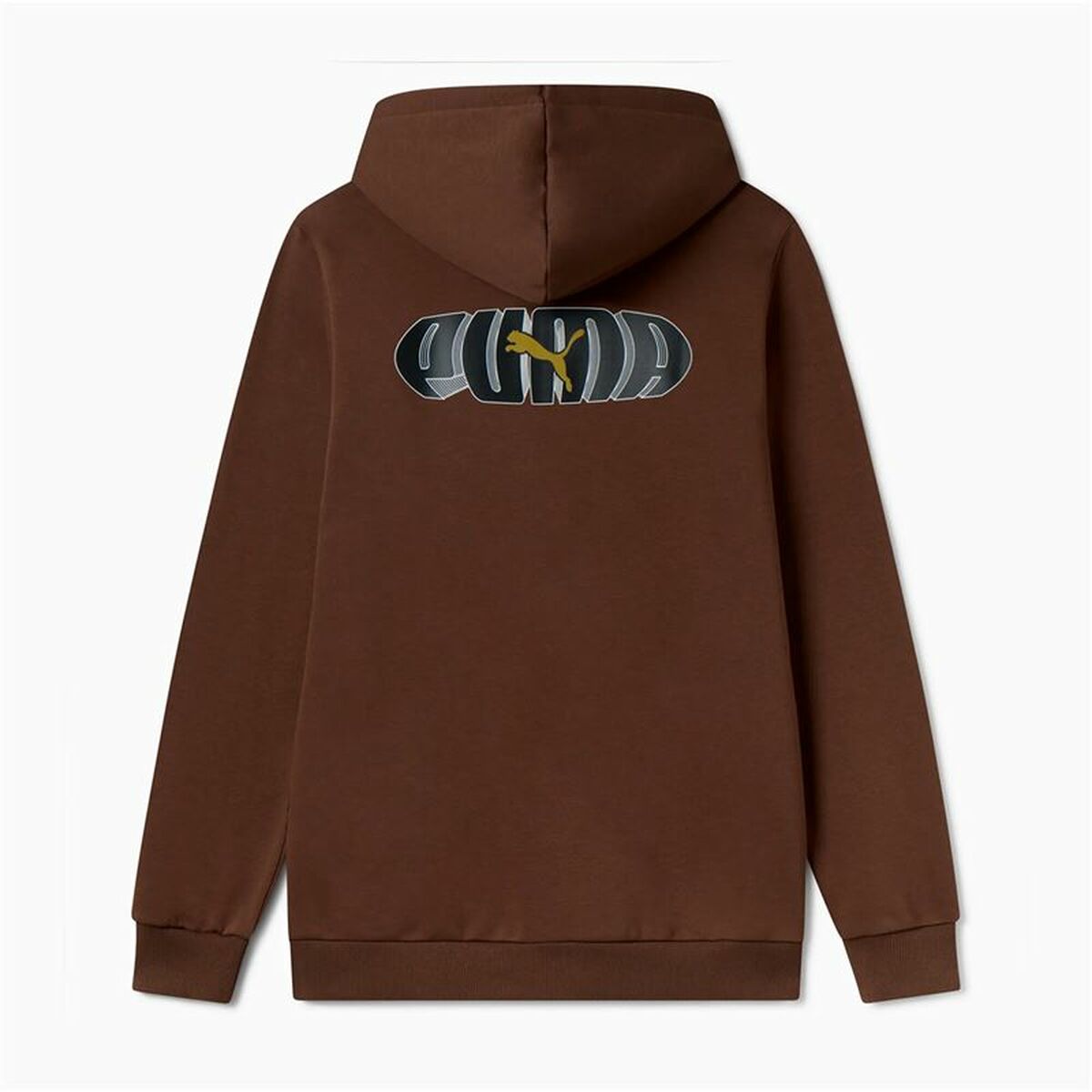 Tröja med huva Herr Puma Essentials+ Graphic Brun - 2