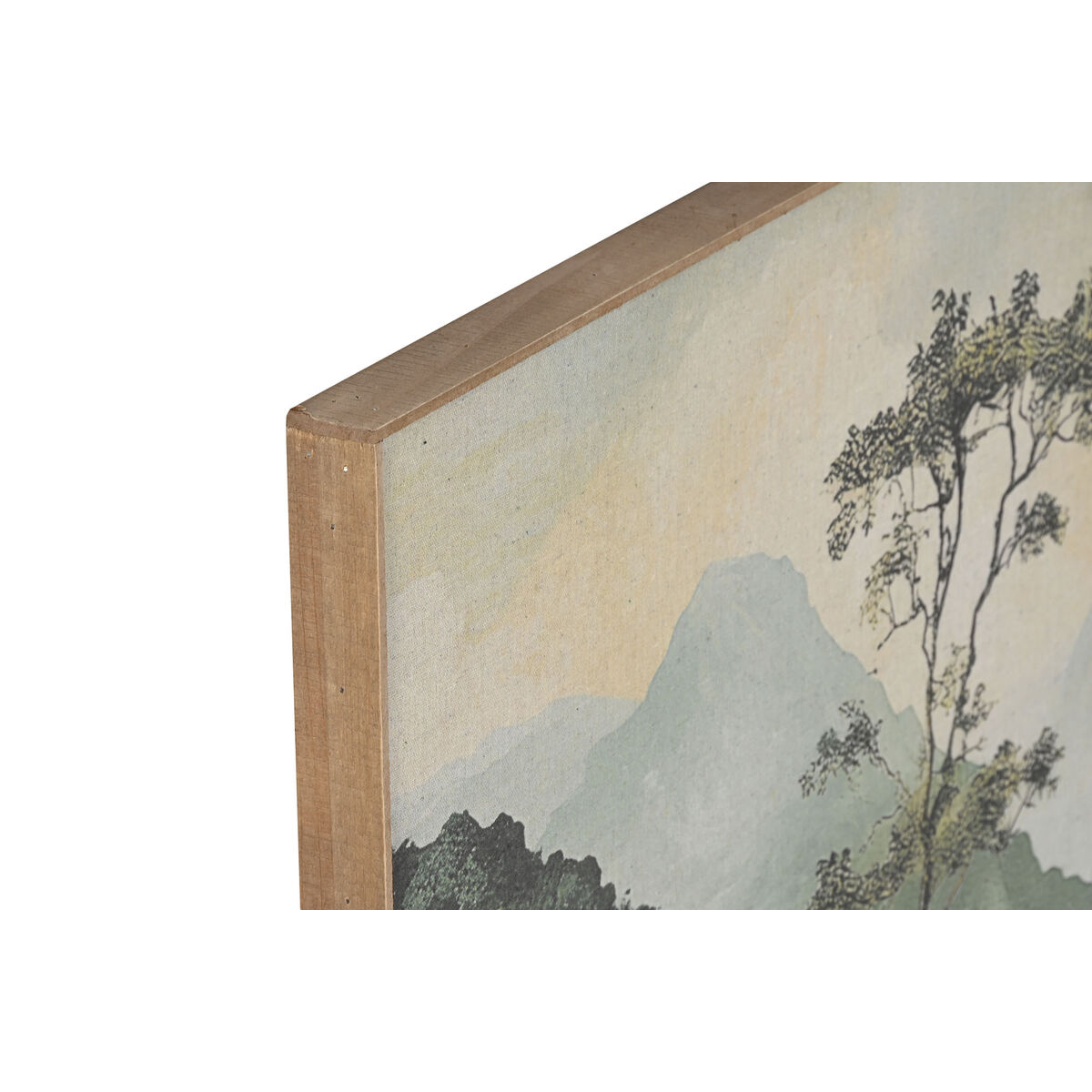 Tavla Home ESPRIT Gran 120 x 3 x 80 cm - 2