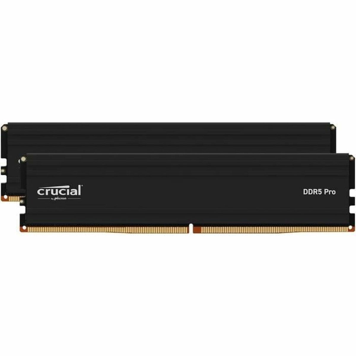 RAM-minne Crucial CP2K24G60C48U5 DDR5 48 GB