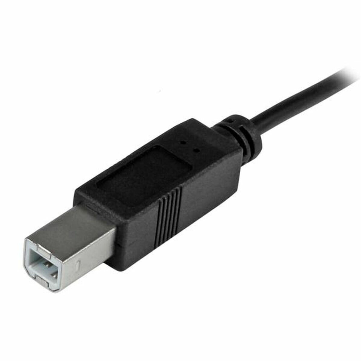 USB C till USB B Kabel Startech USB2CB2M             (2 m) Svart - 3