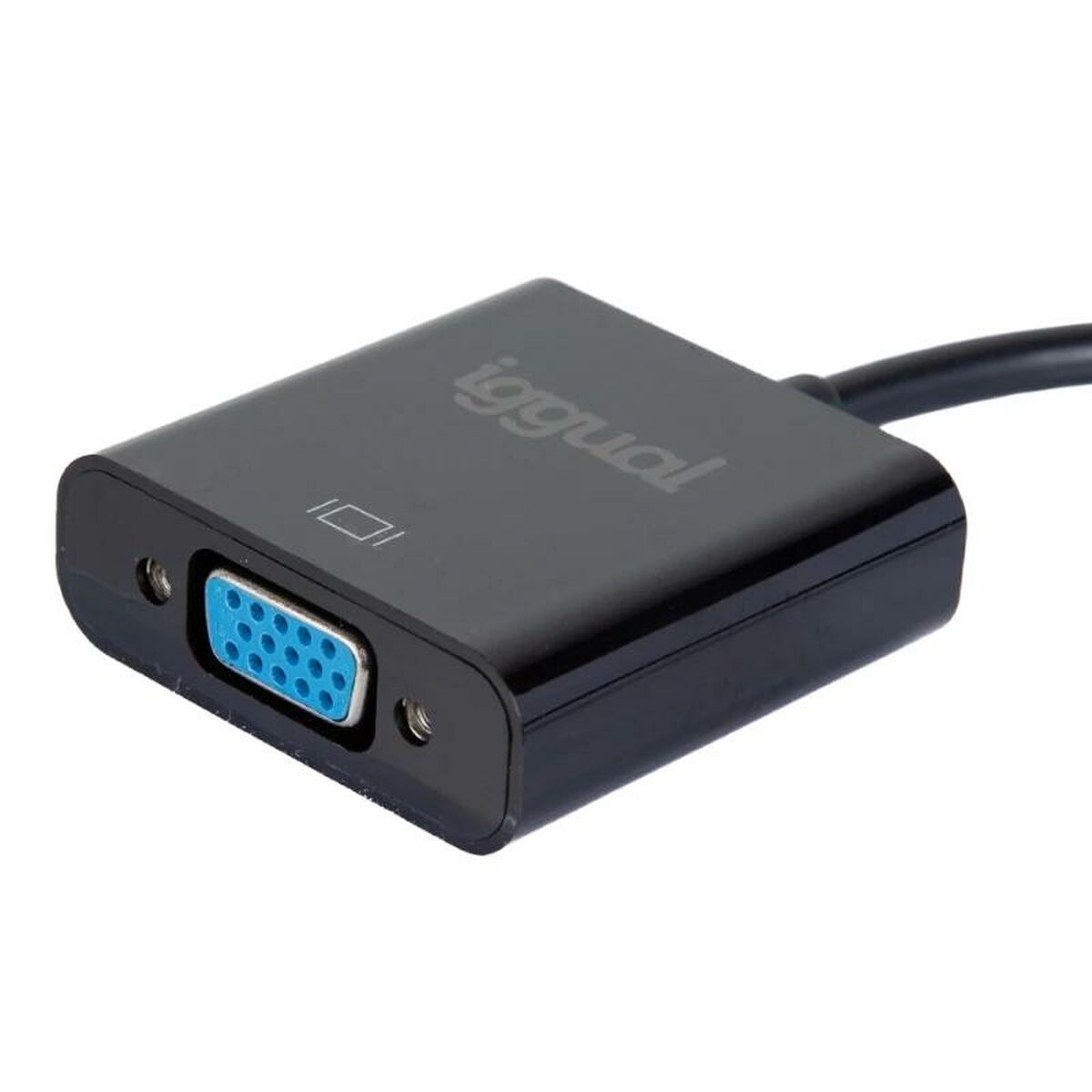 DisplayPort till VGA Adapter iggual IGG319062 - 4