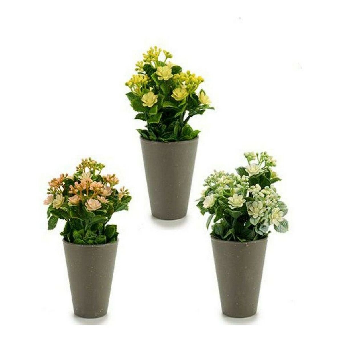 Dekorativ växt Ibergarden Plast 11 x 22 x 11 cm - 4