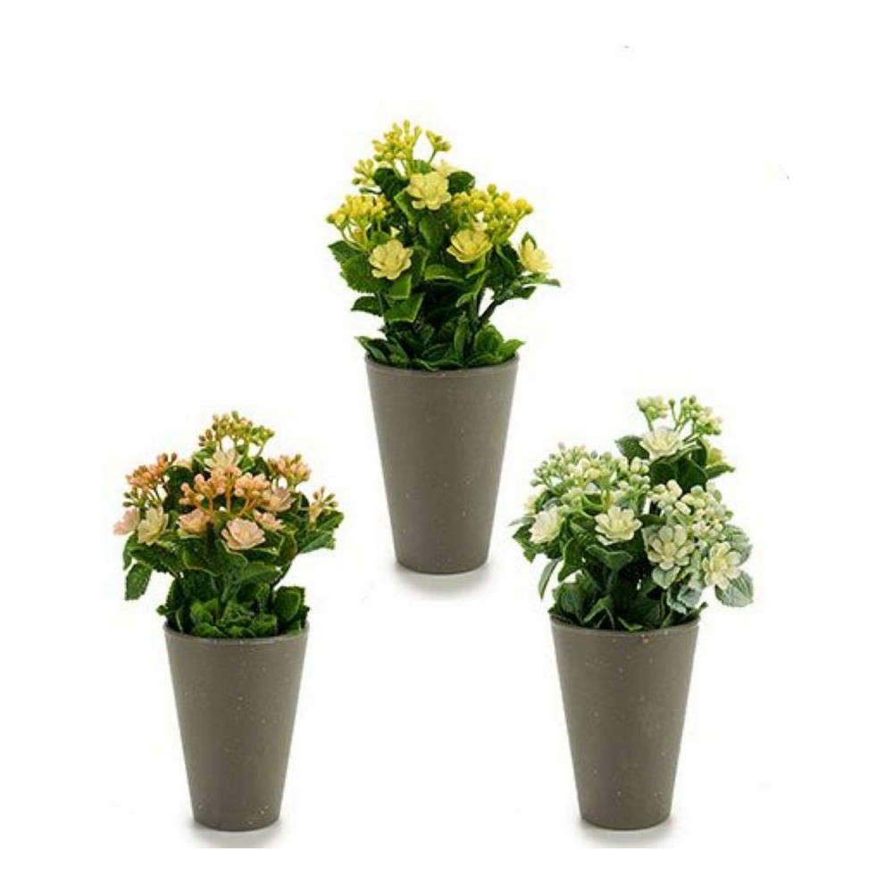 Dekorativ växt Ibergarden Plast 11 x 22 x 11 cm - 2