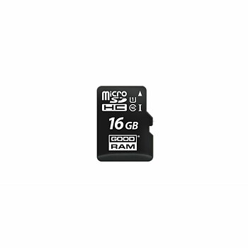Micro-SD kort GoodRam M1AA-2560R12 256 GB