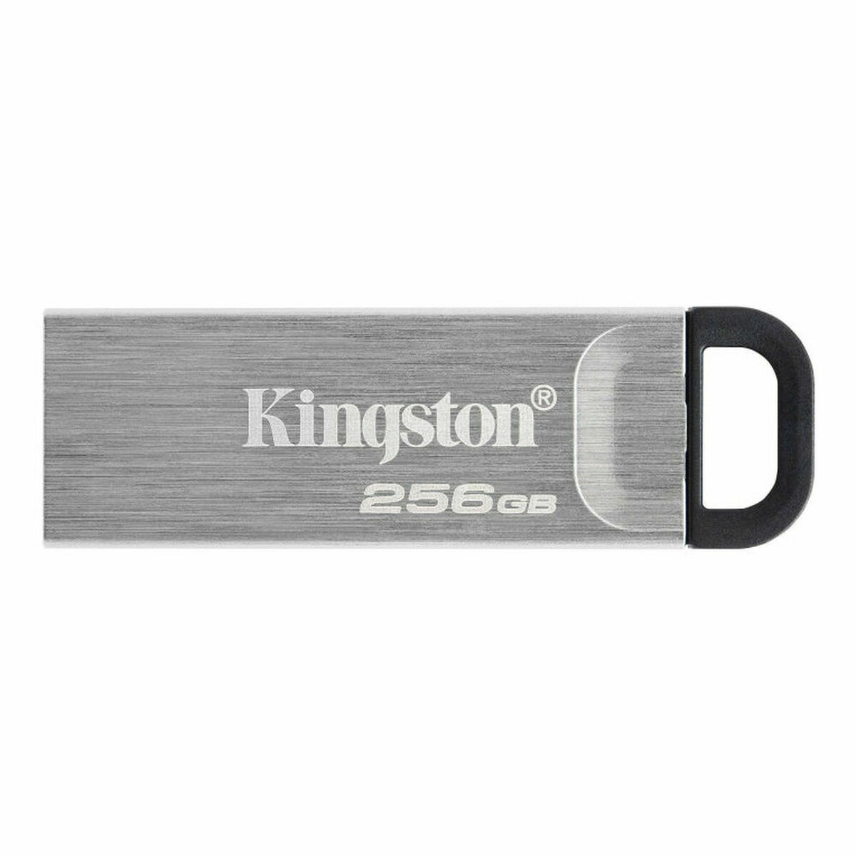 USB-minne Kingston DTKN/256GB USB 3.2 Silvrig 256 GB - 2