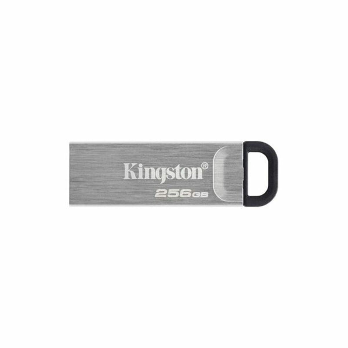USB-minne Kingston DTKN/256GB USB 3.2 Silvrig 256 GB - 3
