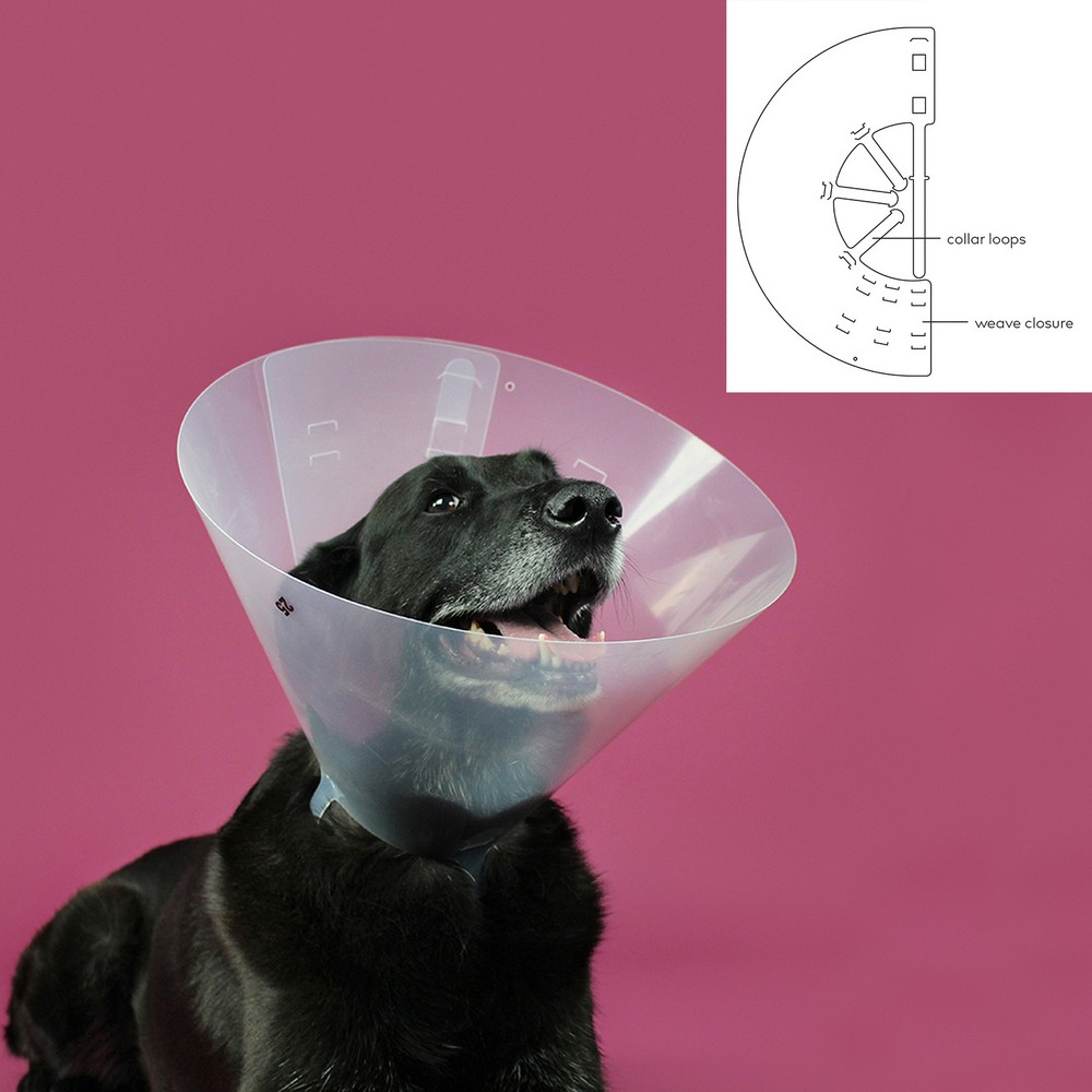 Elizabethan Hundhalsband KVP Betsy Transparent (33-41 cm) - 2