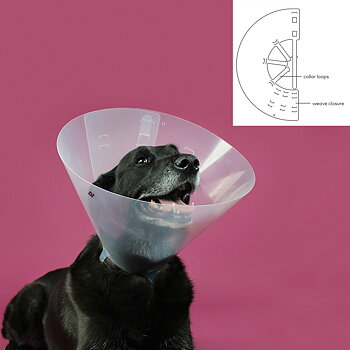 Elizabethan Hundhalsband KVP Betsy Transparent (33-41 cm)