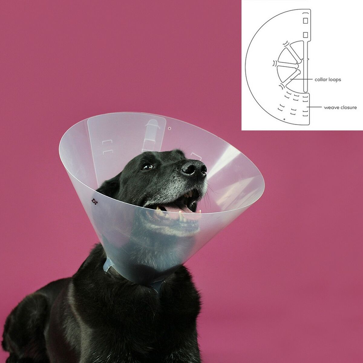 Elizabethan Hundhalsband KVP Betsy Transparent (33-41 cm) - 8