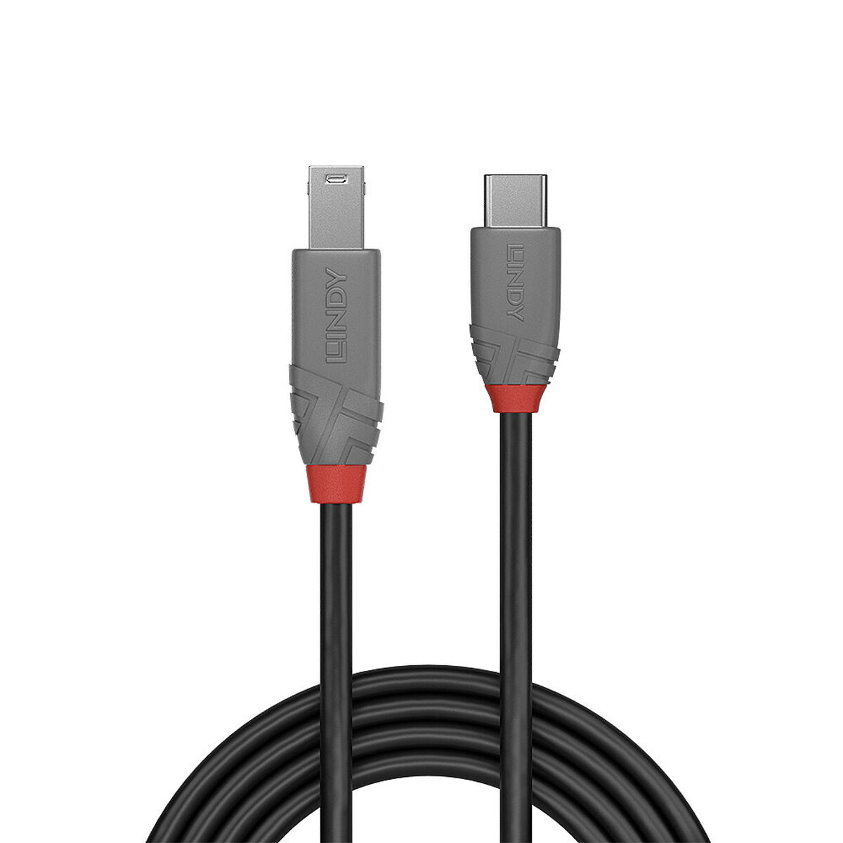 USB-C till USB B Kabel LINDY 36666 1 m - 2