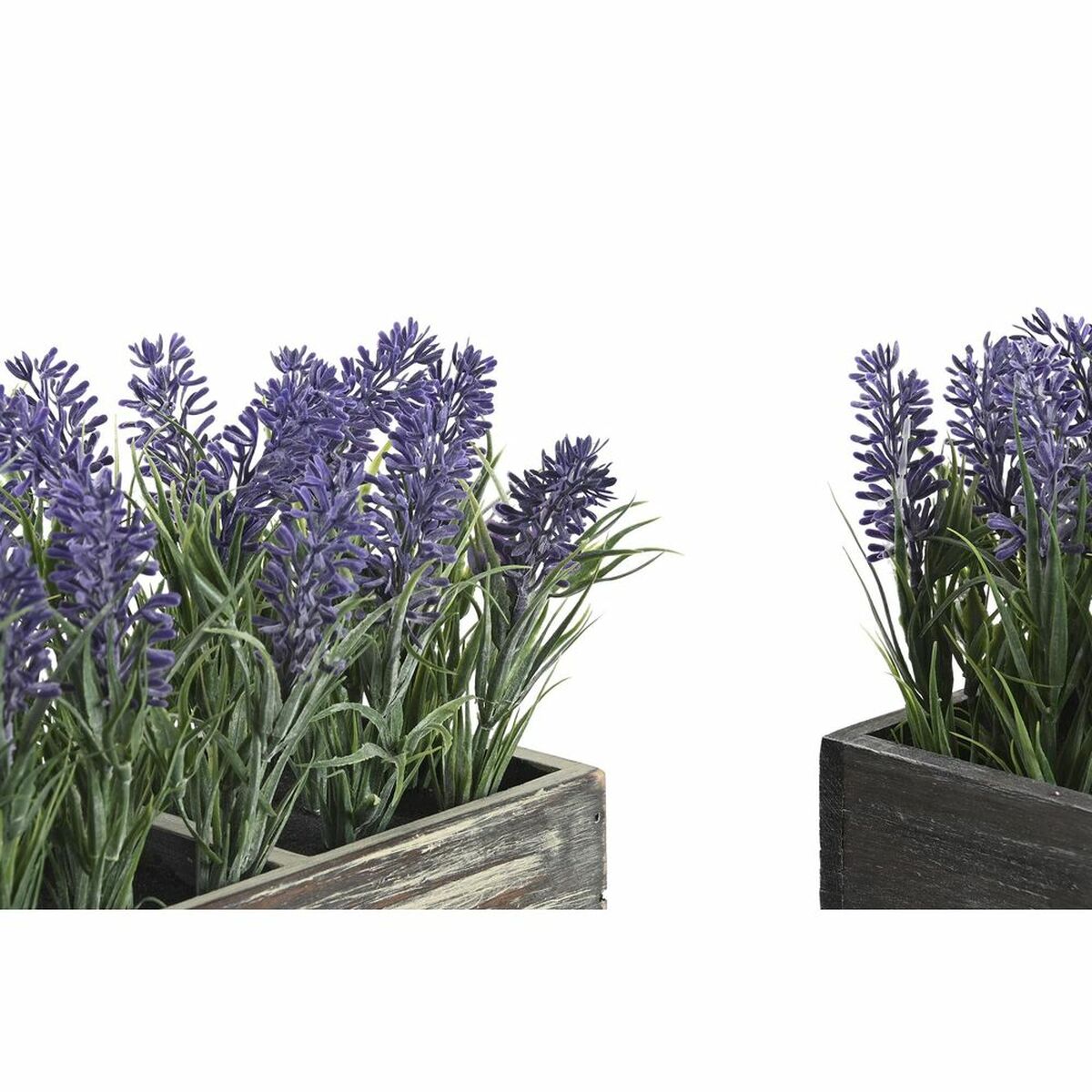 Dekorativ växt DKD Home Decor Trä Polyetylen 32 x 14 x 19,5 cm (2 antal) - 6